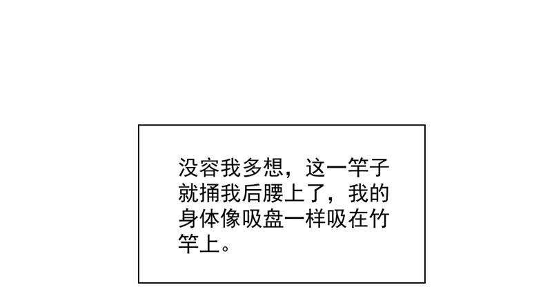 84.jpg