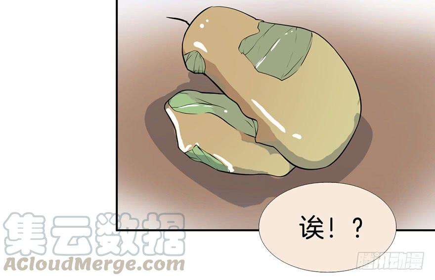 41.jpg