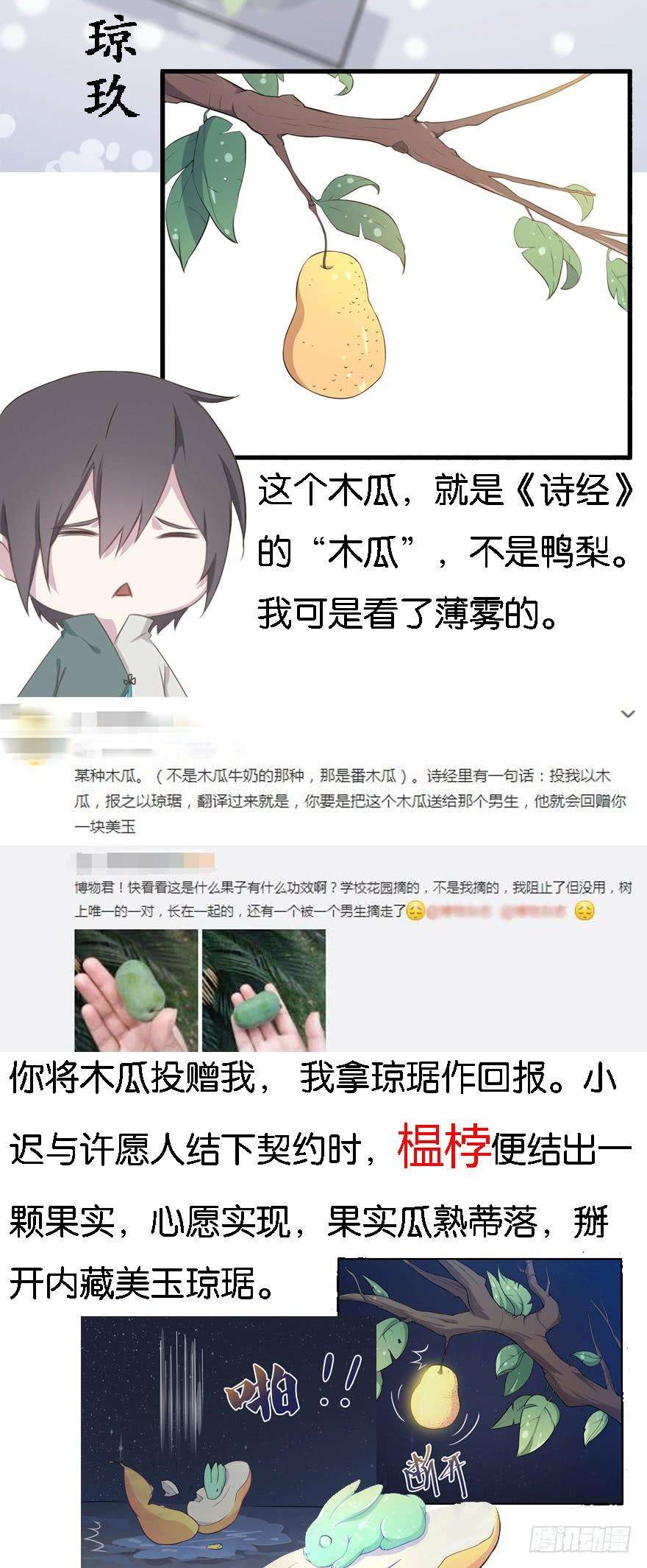 43.jpg