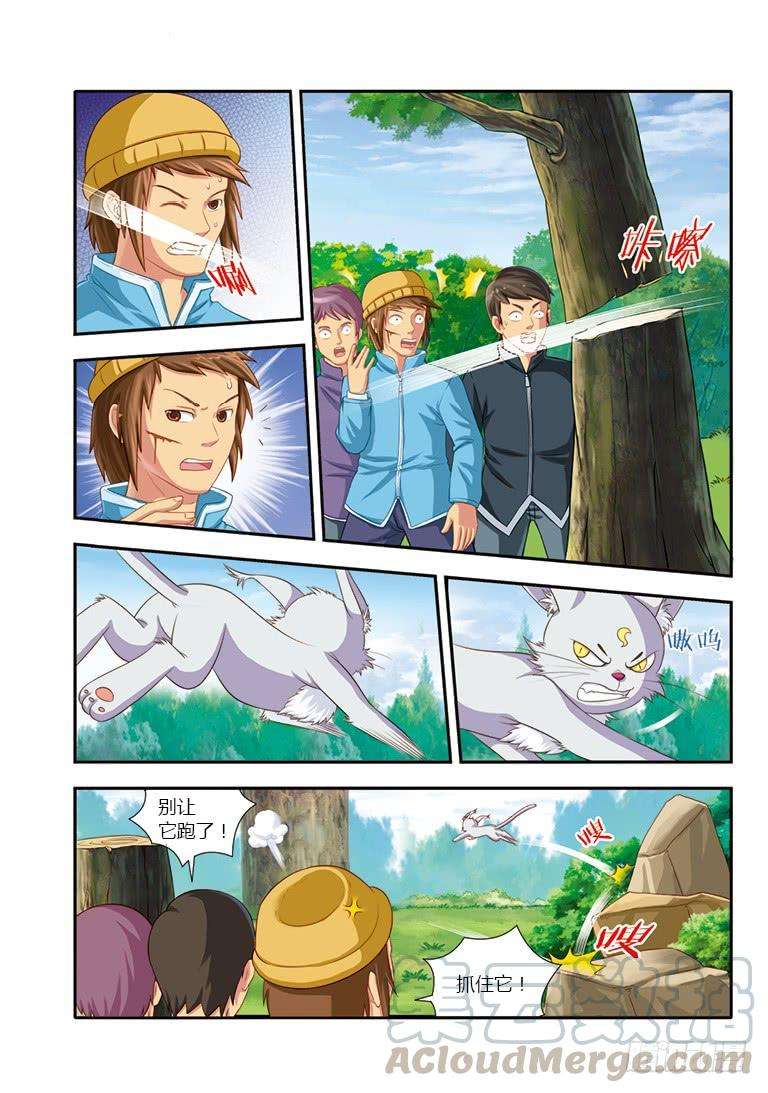 8.jpg