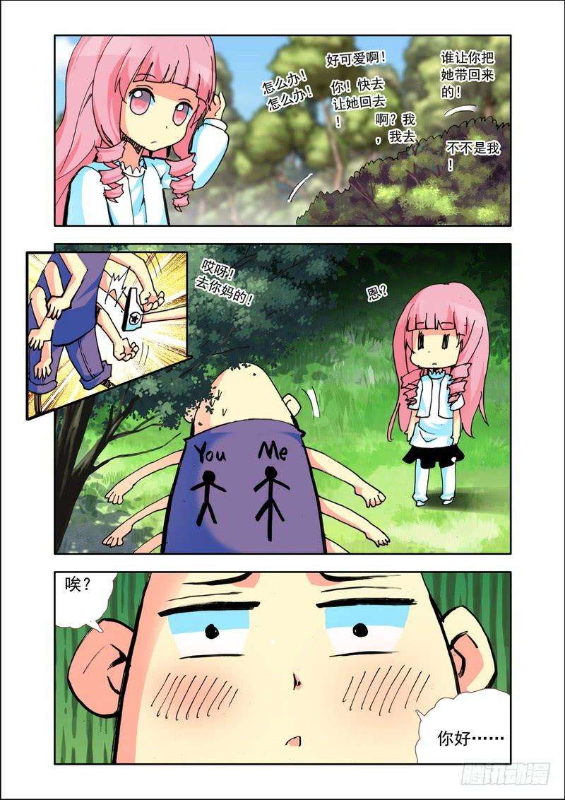 5.jpg
