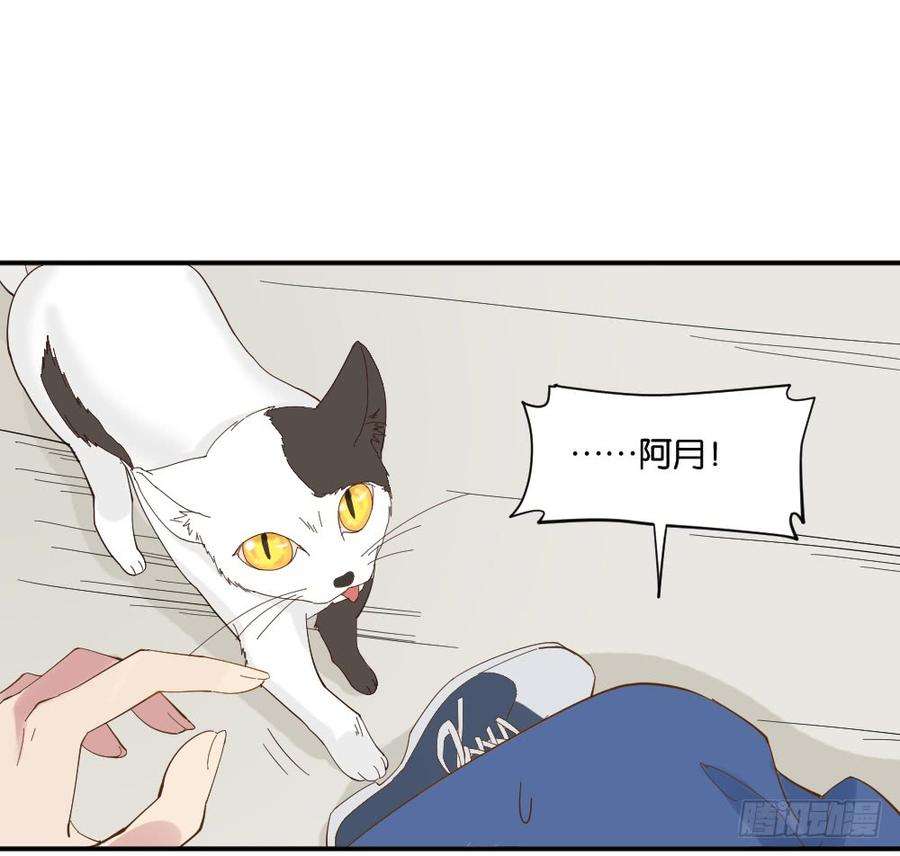 73.jpg