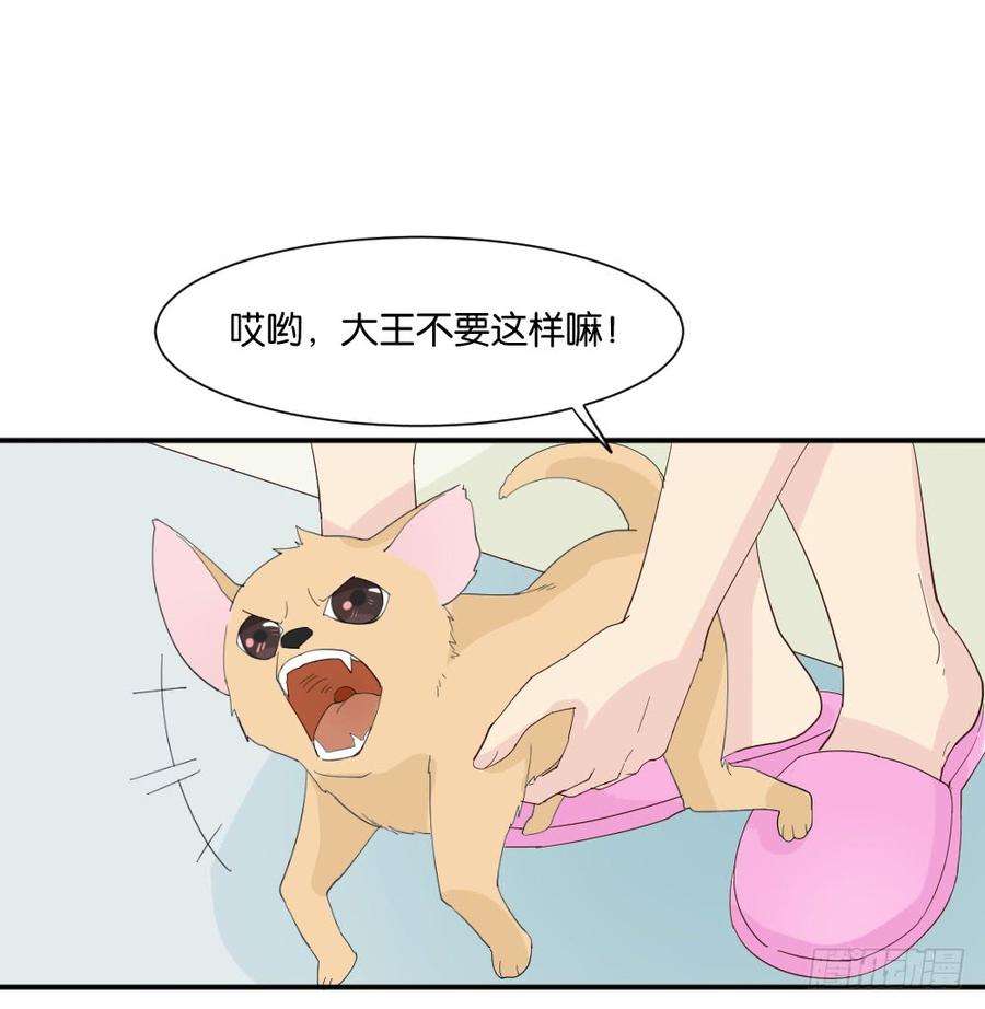 51.jpg