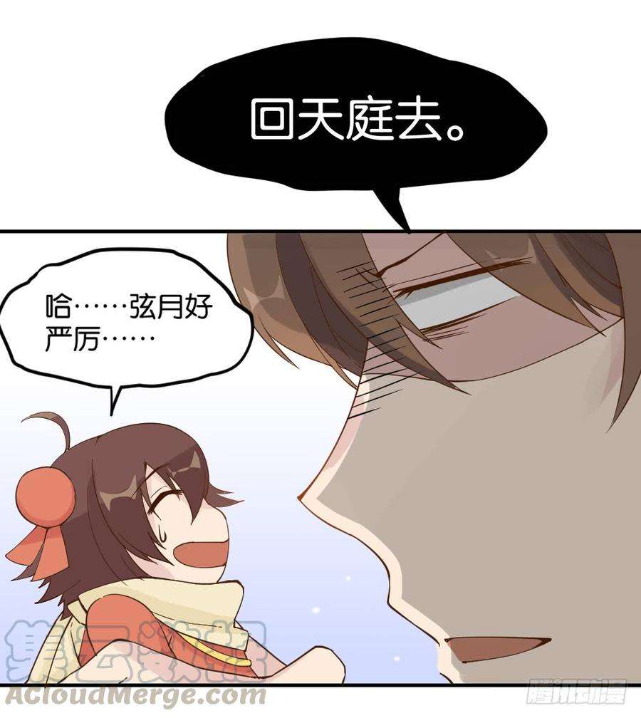 43.jpg