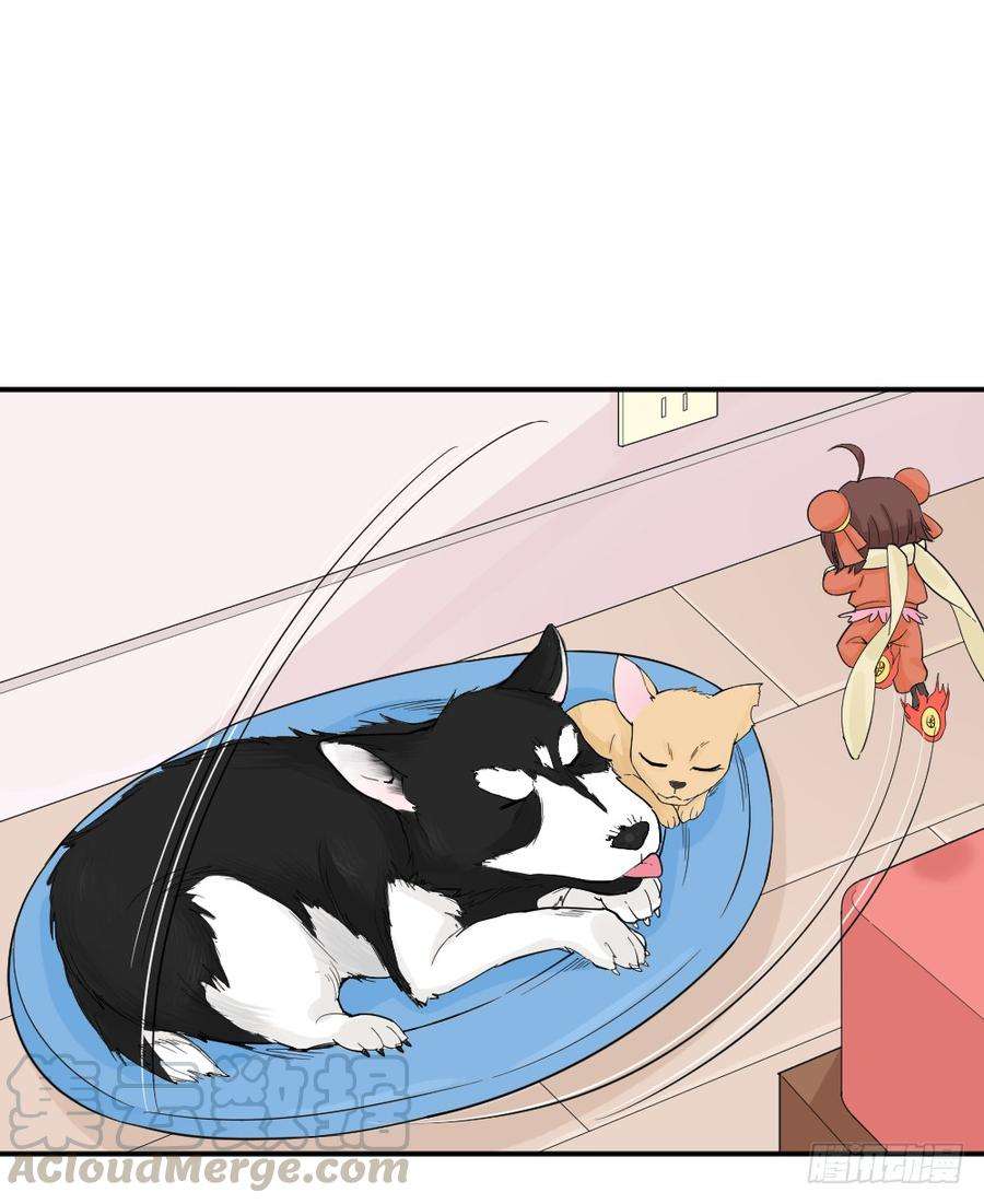15.jpg