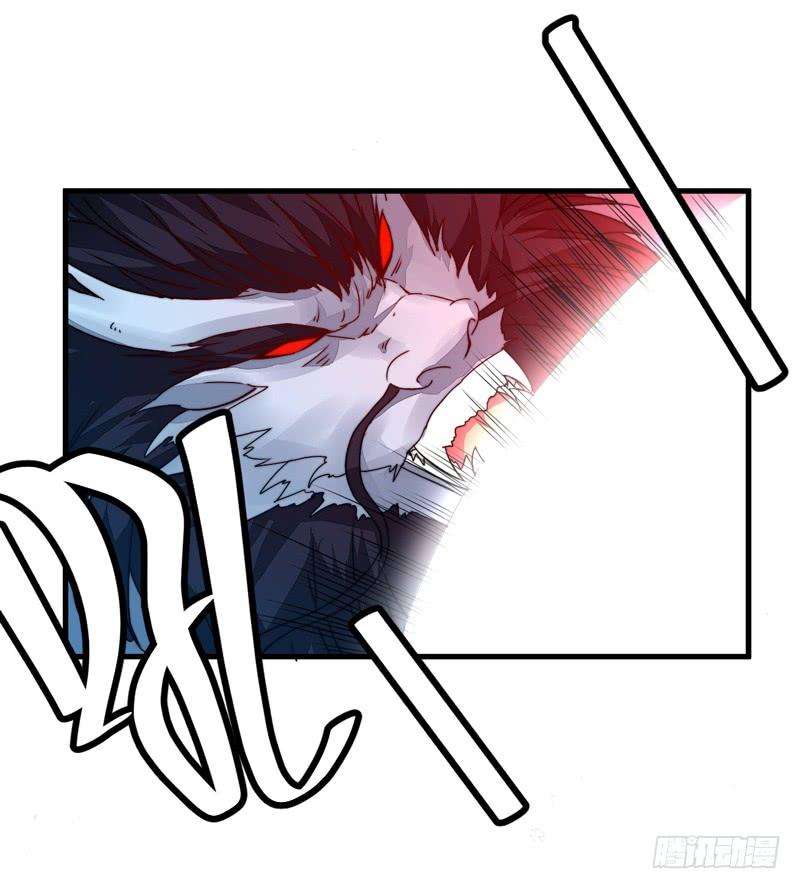41.jpg