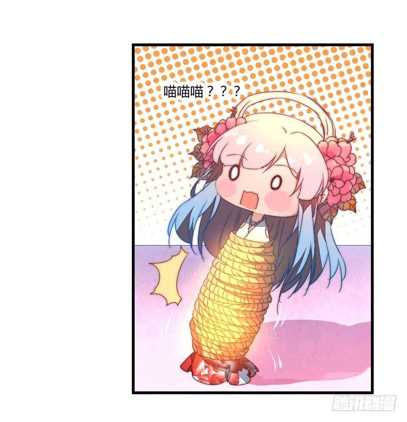 49.jpg