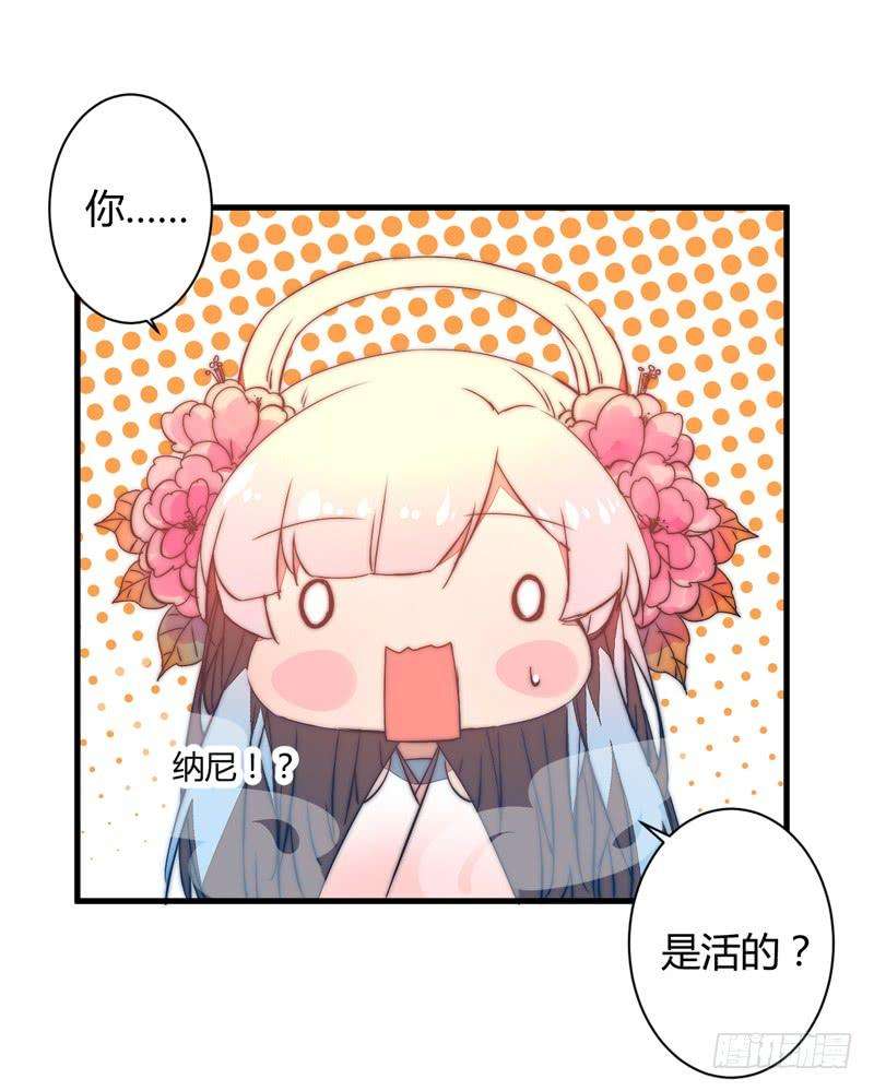 40.jpg