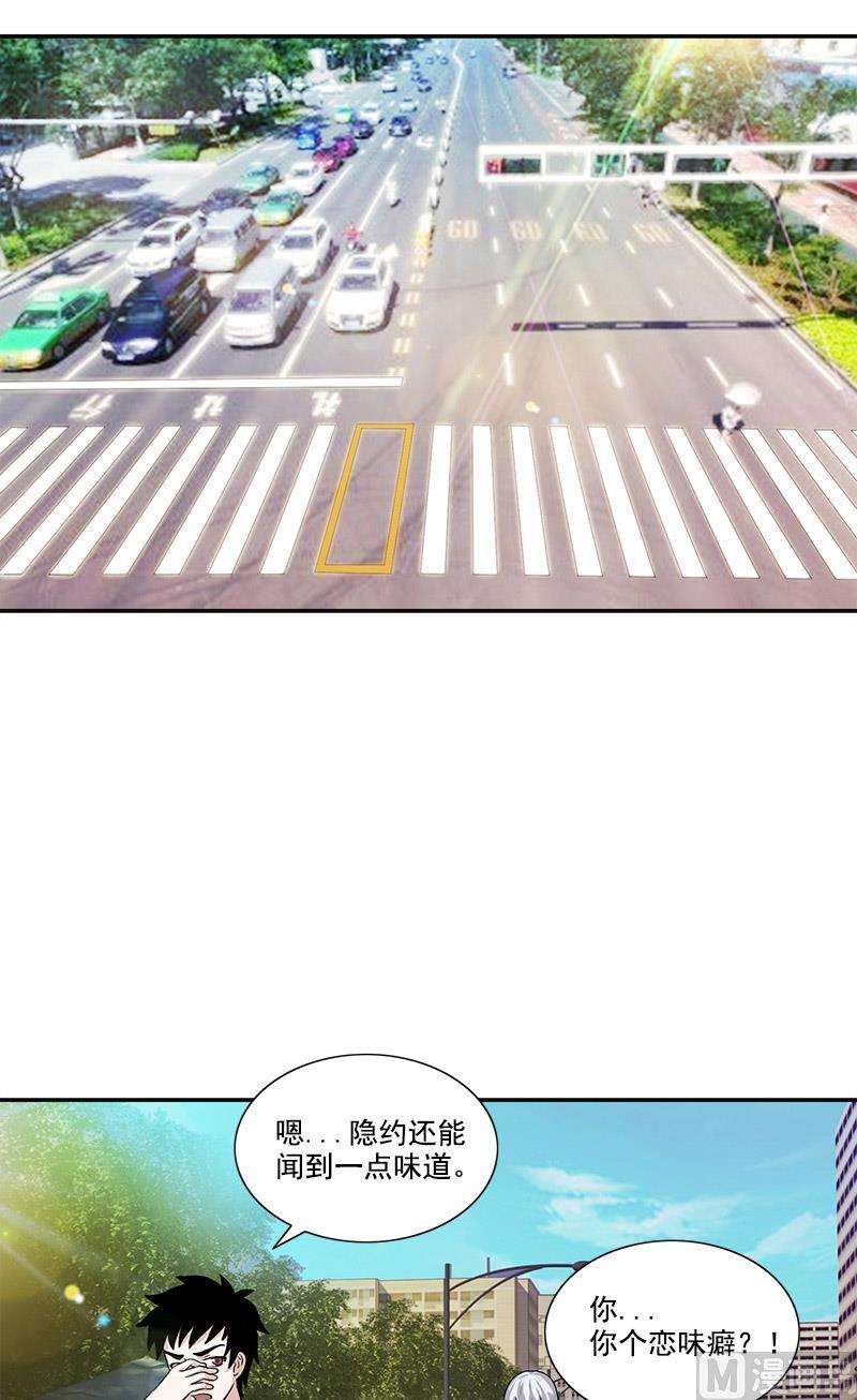 20.jpg