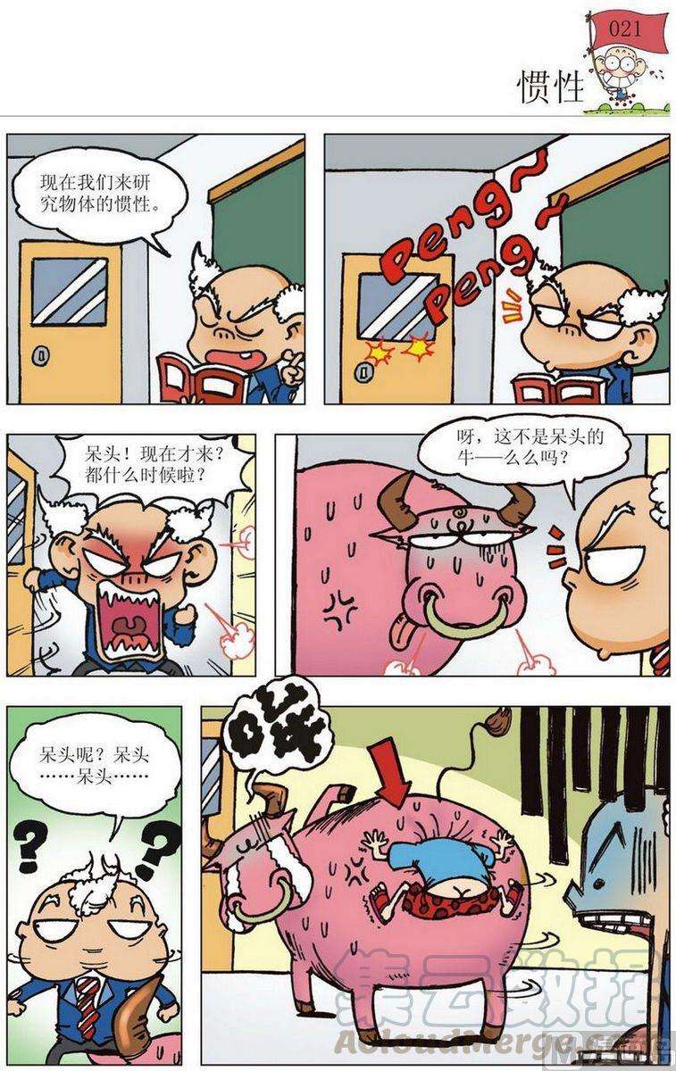 11.jpg