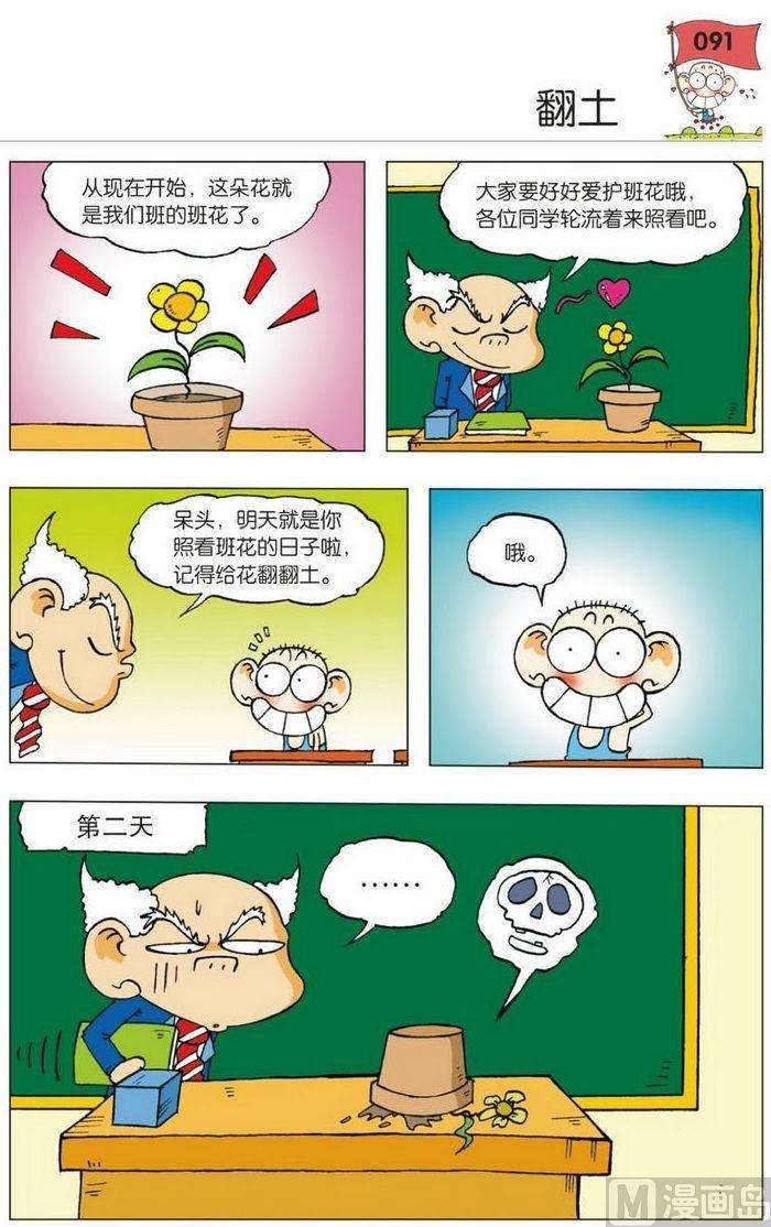 6.jpg