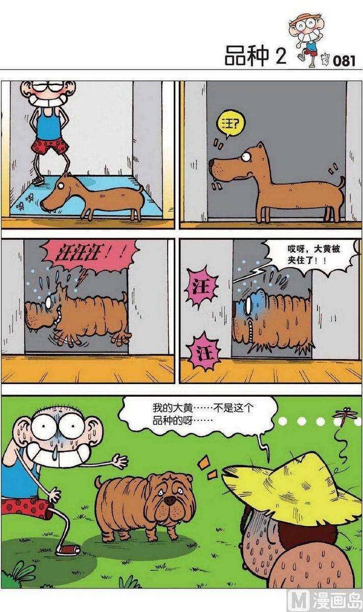 7.jpg