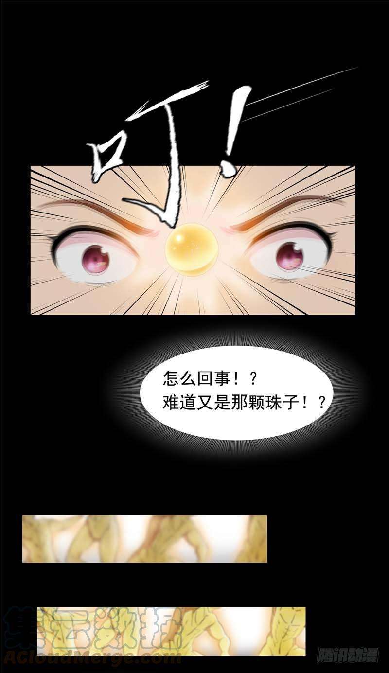 25.jpg