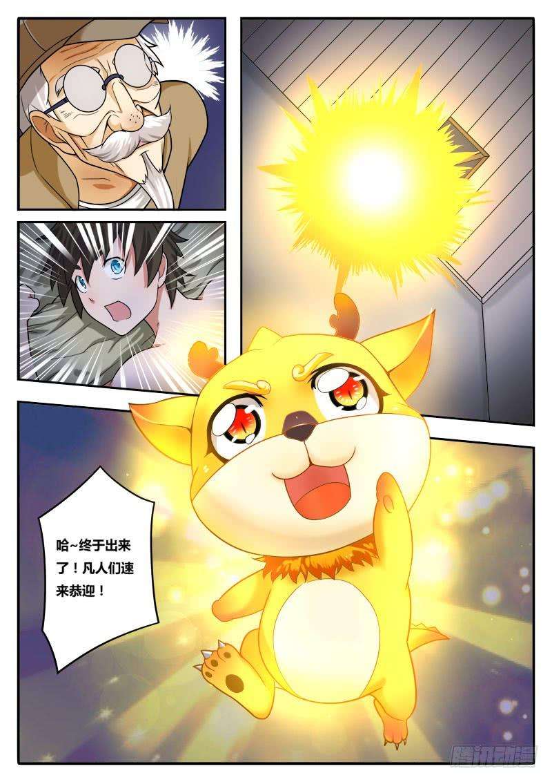 8.jpg