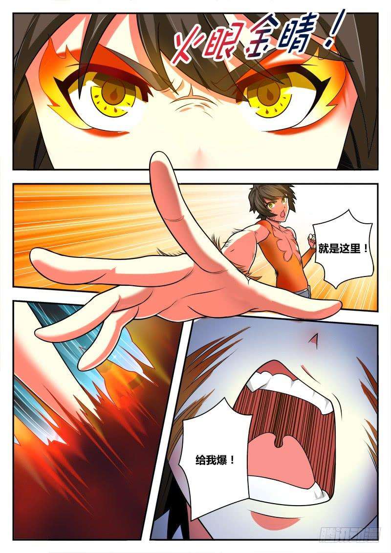 11.jpg