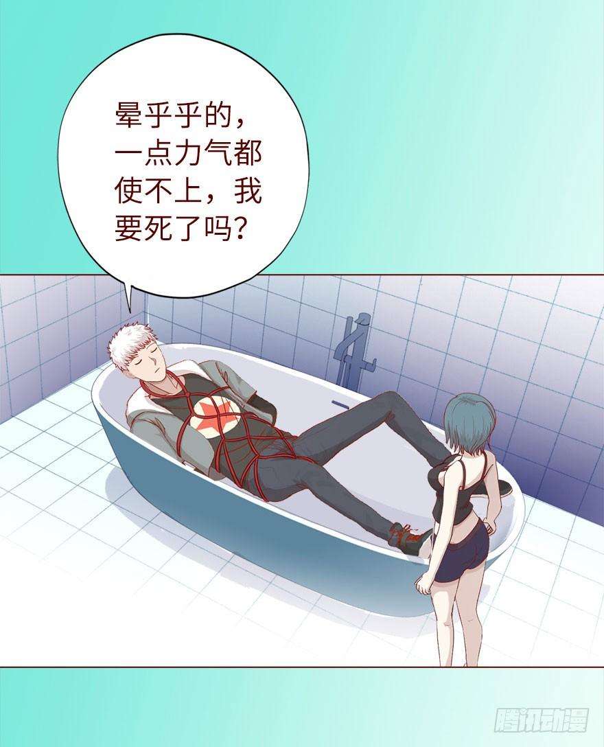 31.jpg