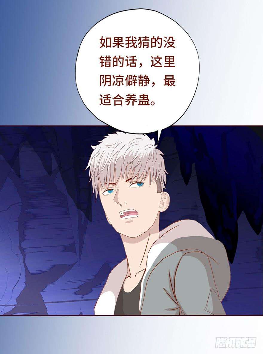 28.jpg
