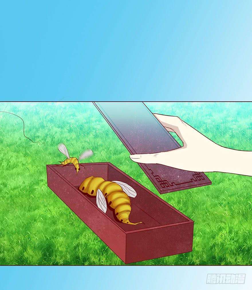 23.jpg