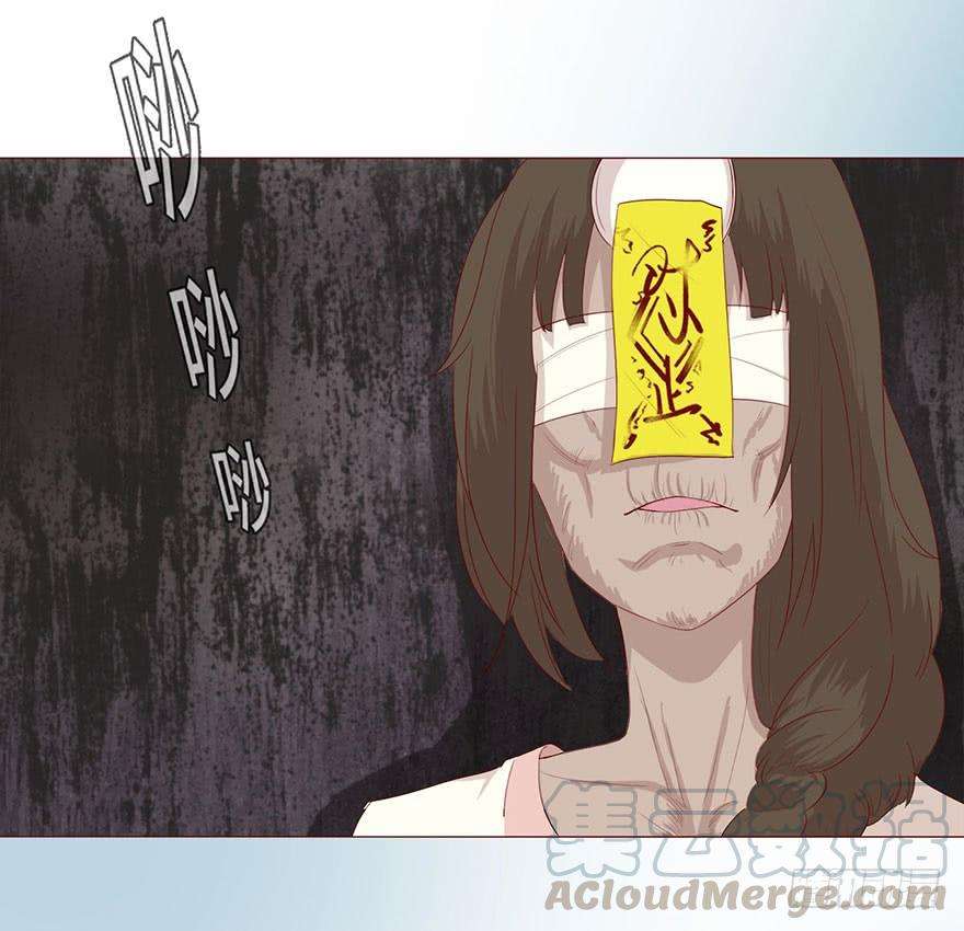 41.jpg