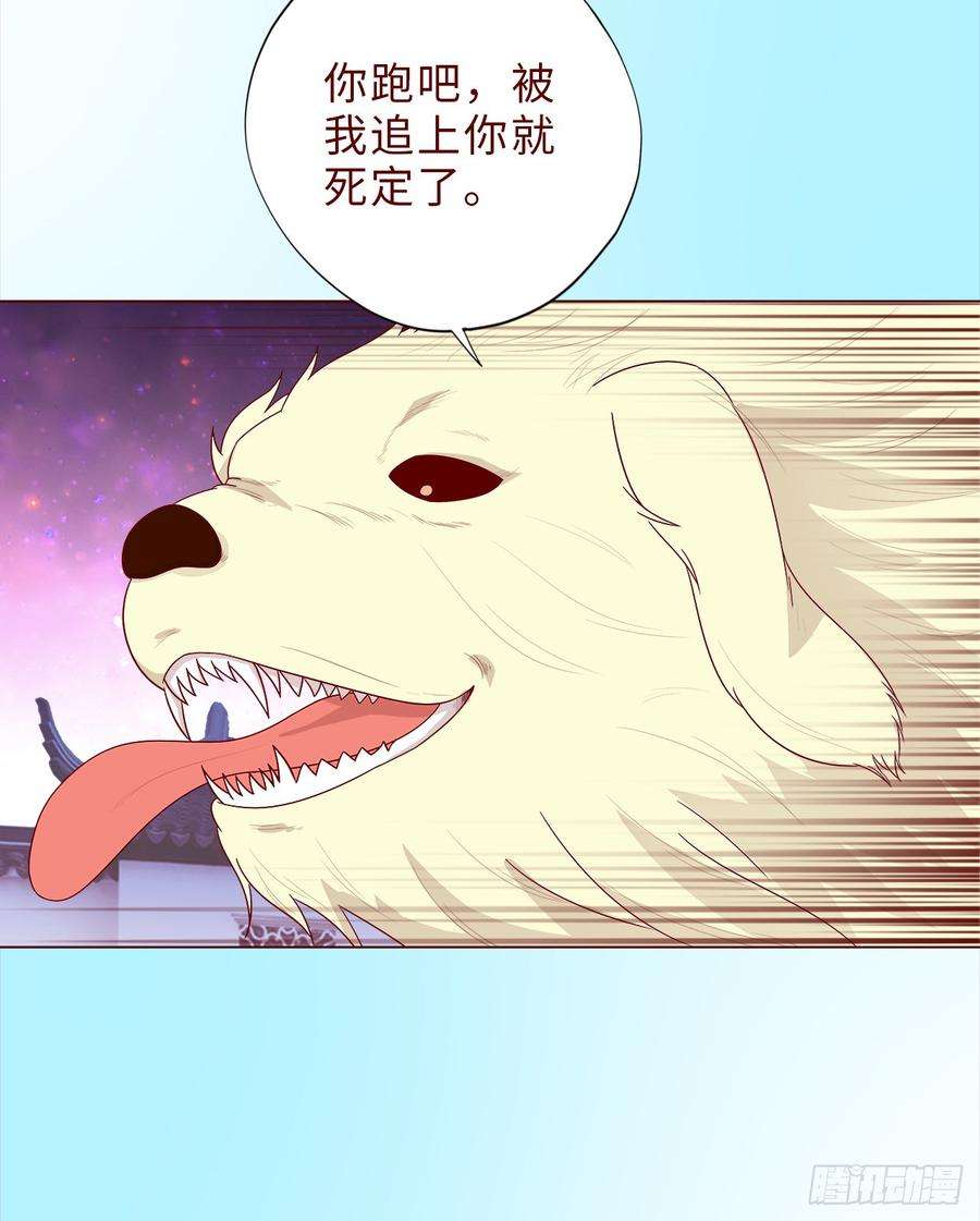 35.jpg