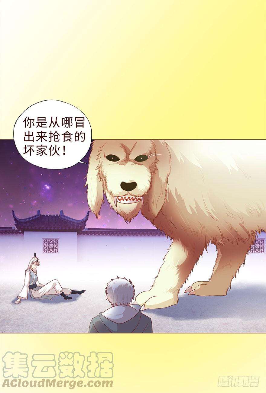 5.jpg