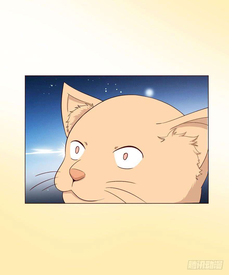 51.jpg