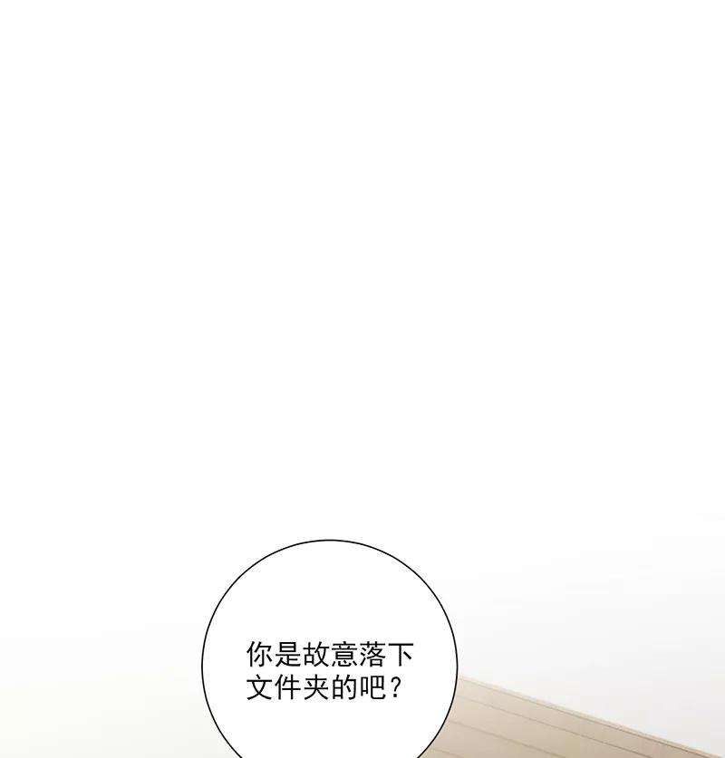 95.jpg