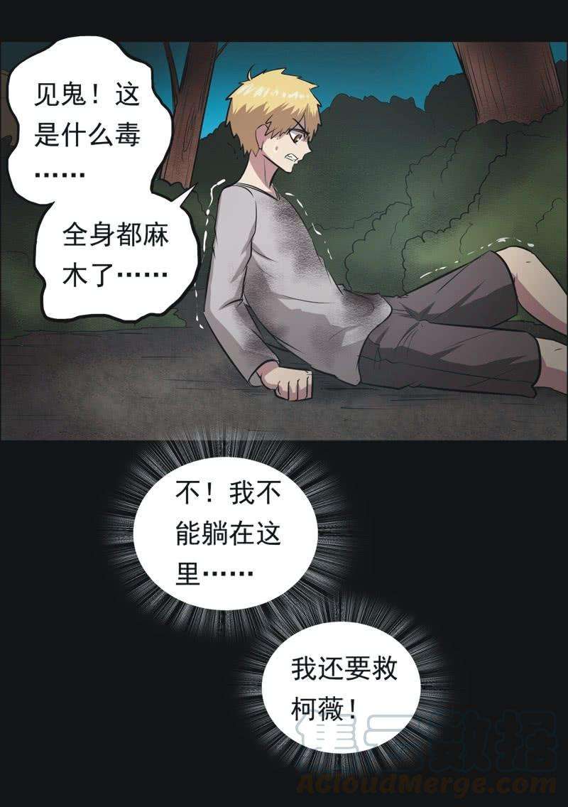11.jpg