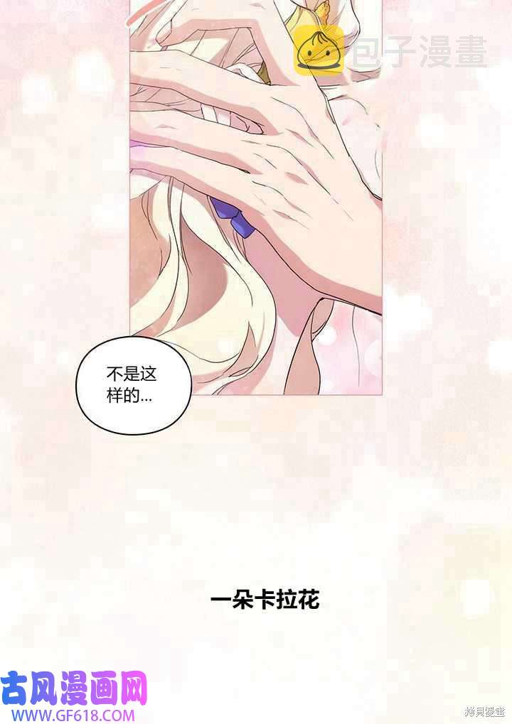 48.jpg