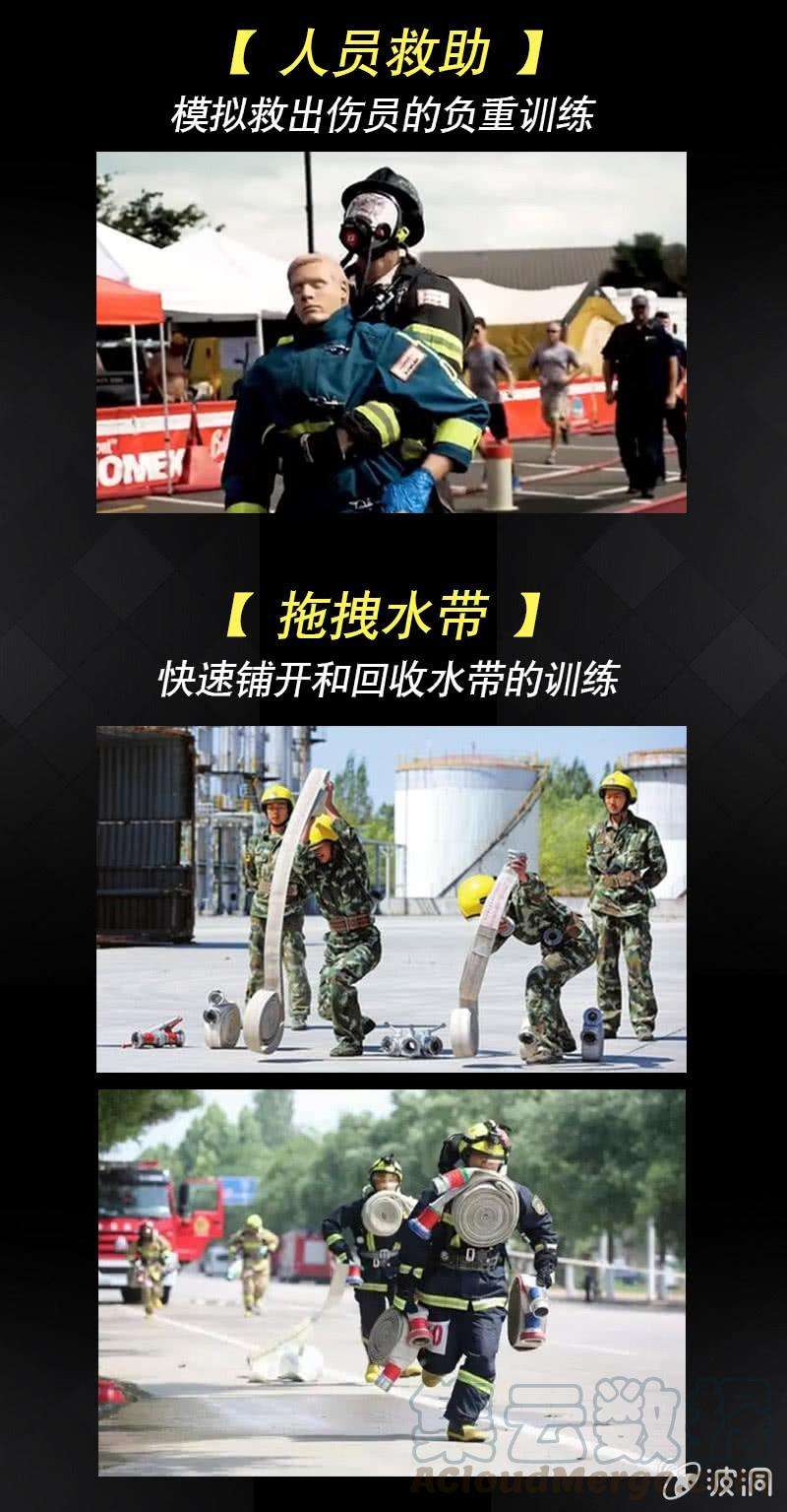 41.jpg
