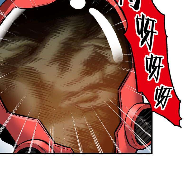 23.jpg