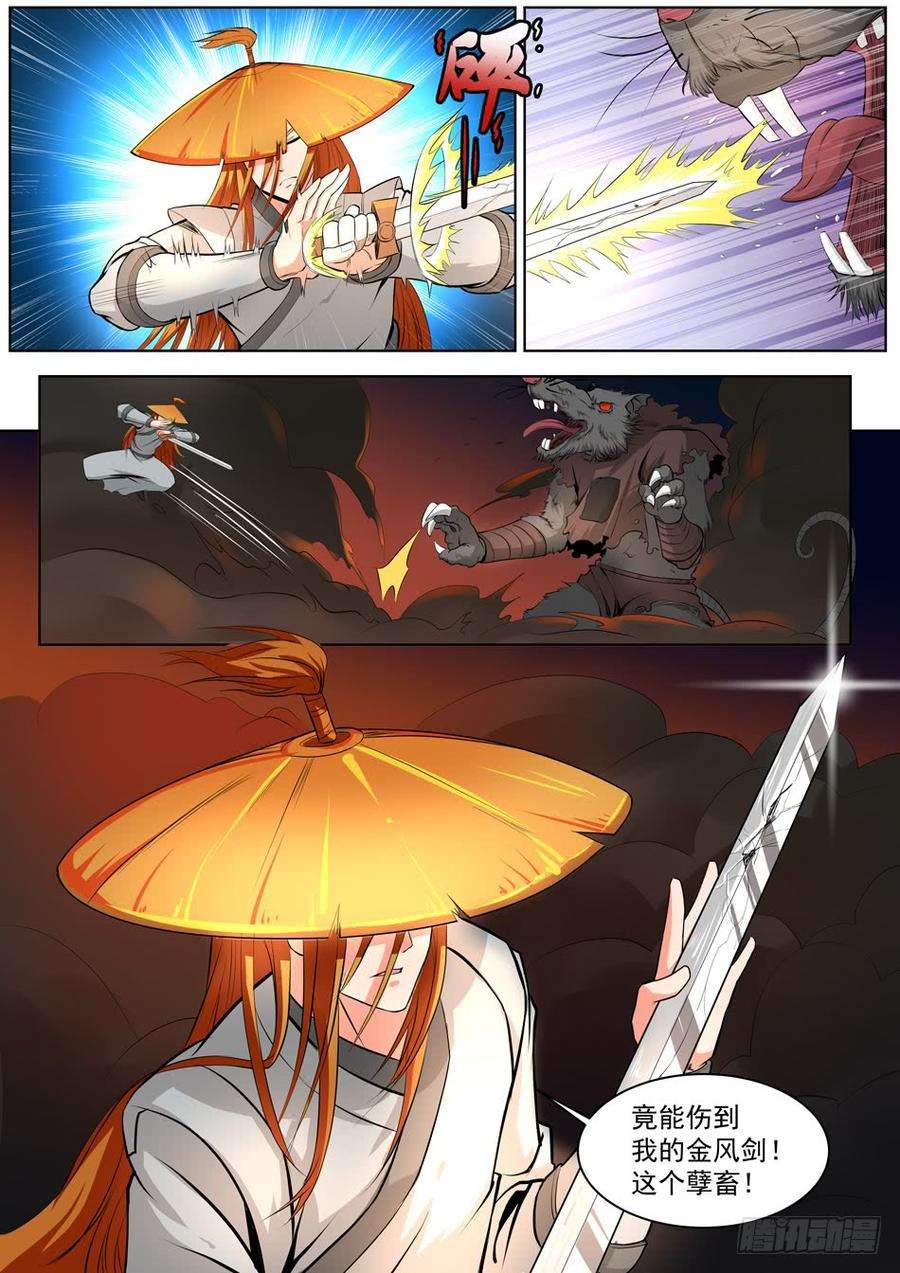 5.jpg