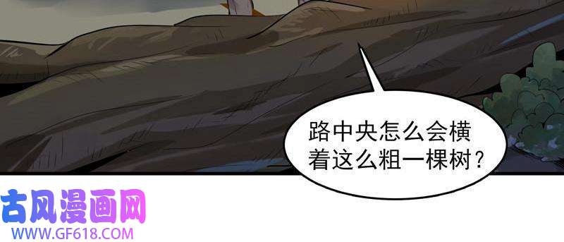 47.jpg