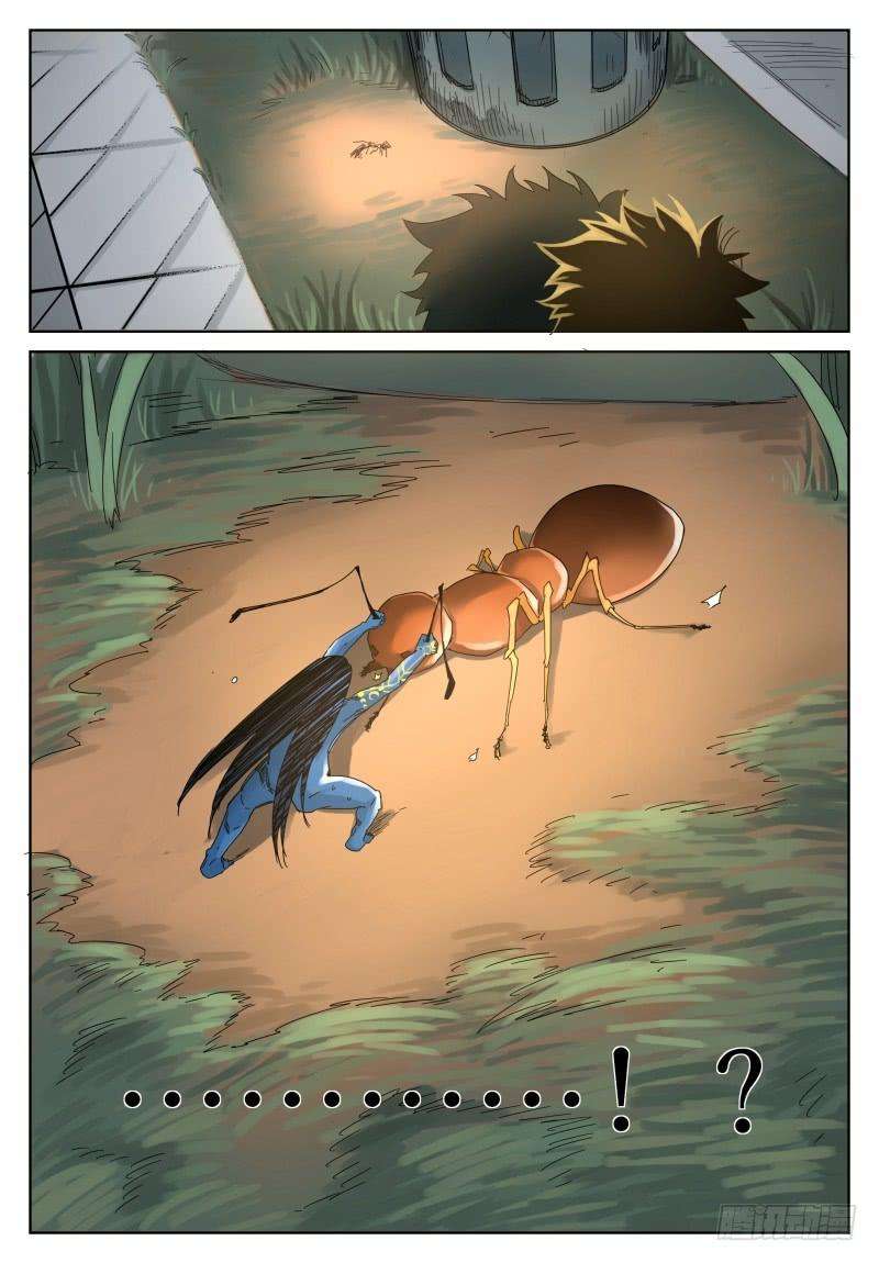 9.jpg