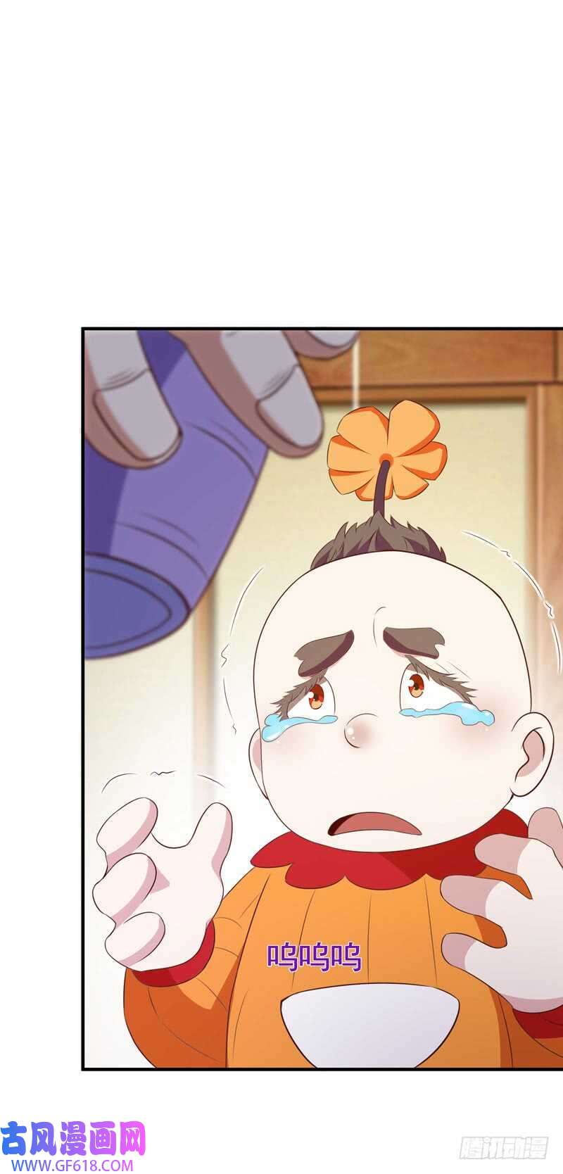 16.jpg