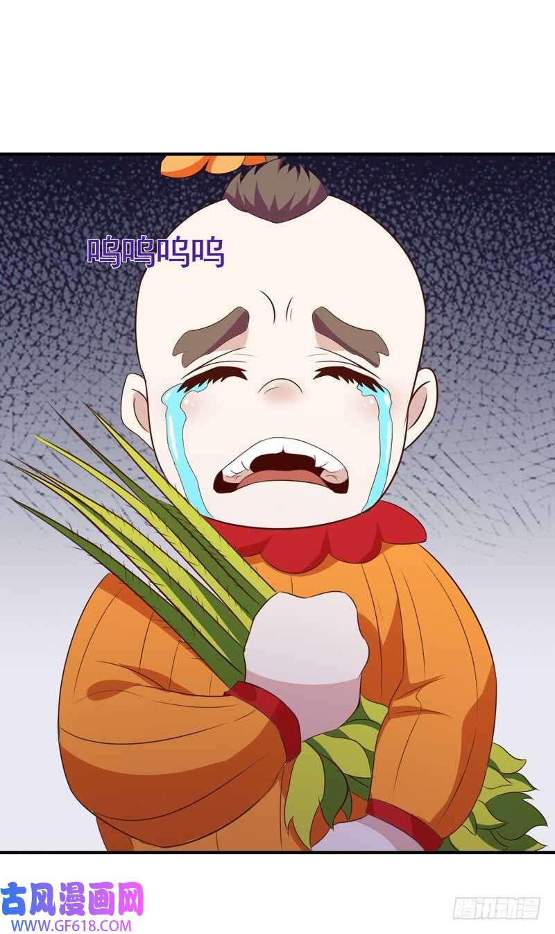 25.jpg