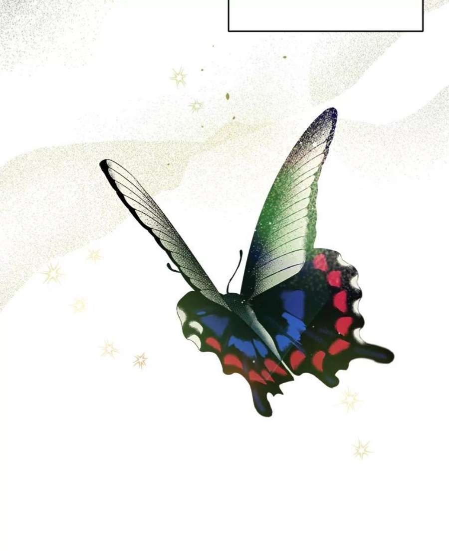 95.jpg
