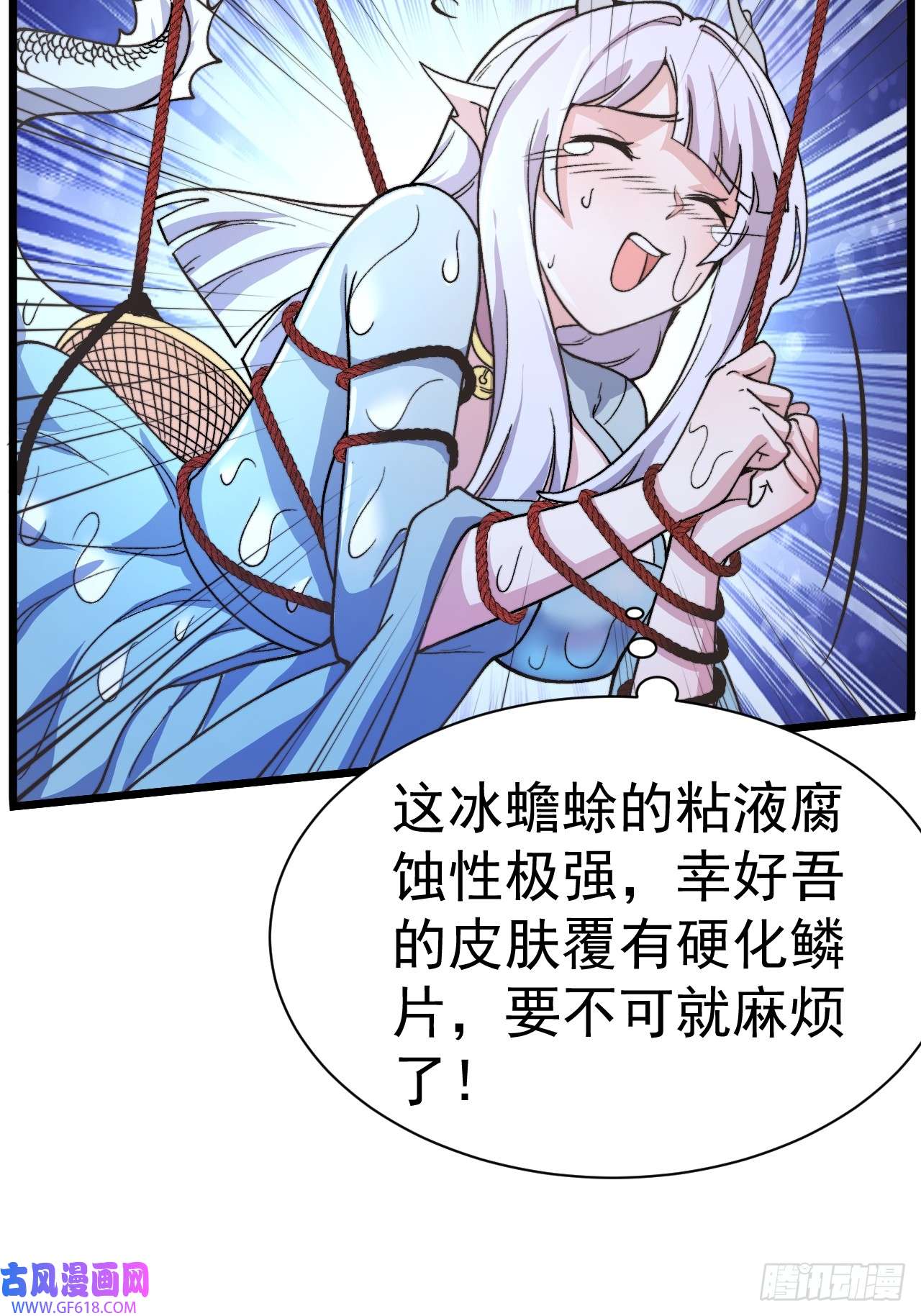 31.jpg