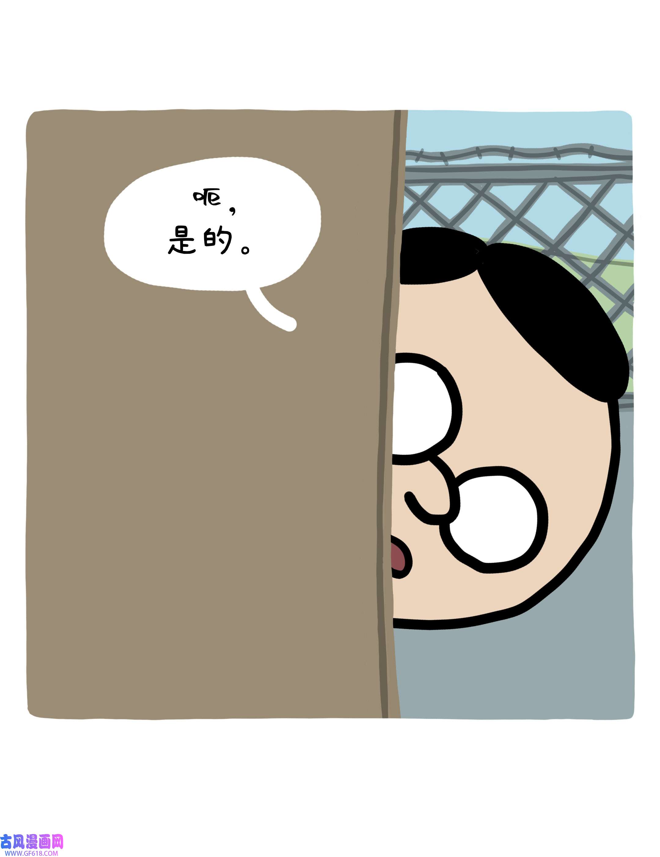 78.jpg