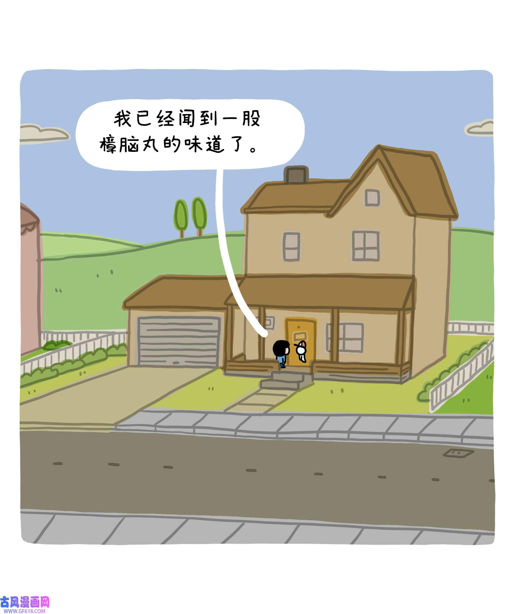 5.jpg