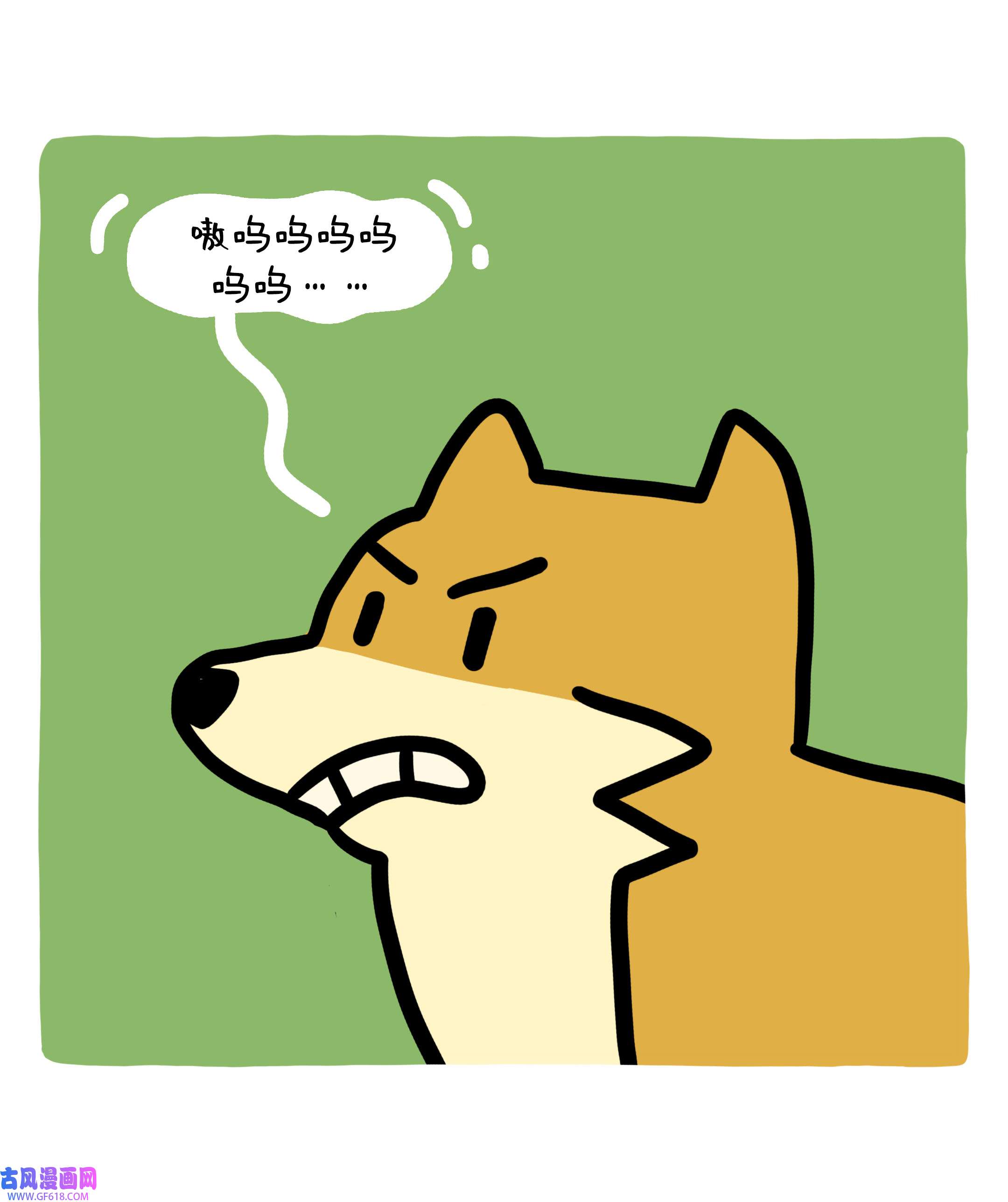 43.jpg