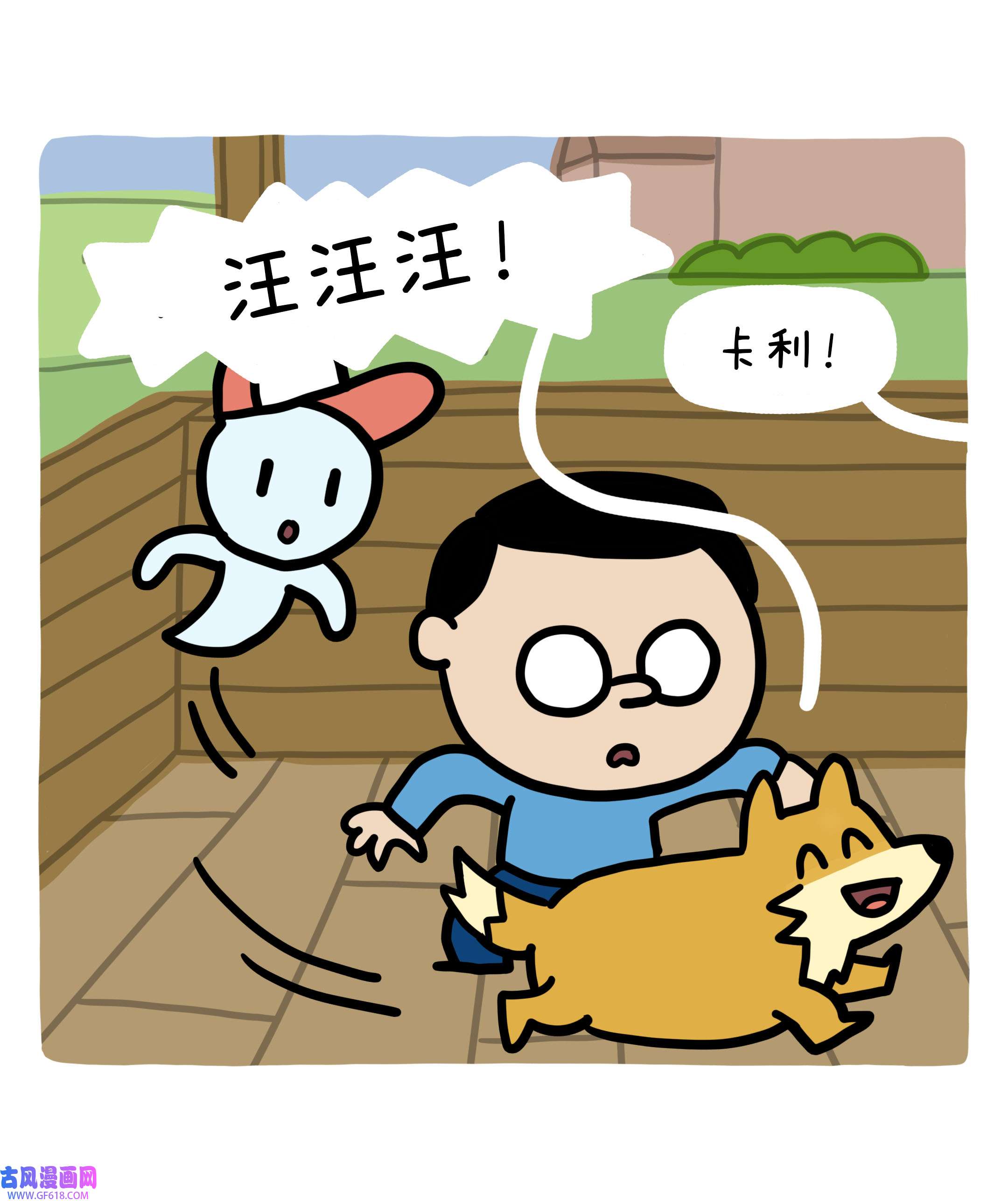 11.jpg