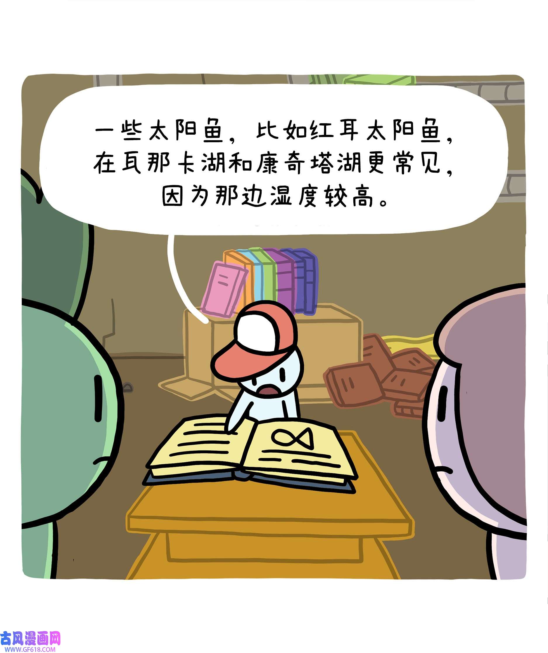 23.jpg
