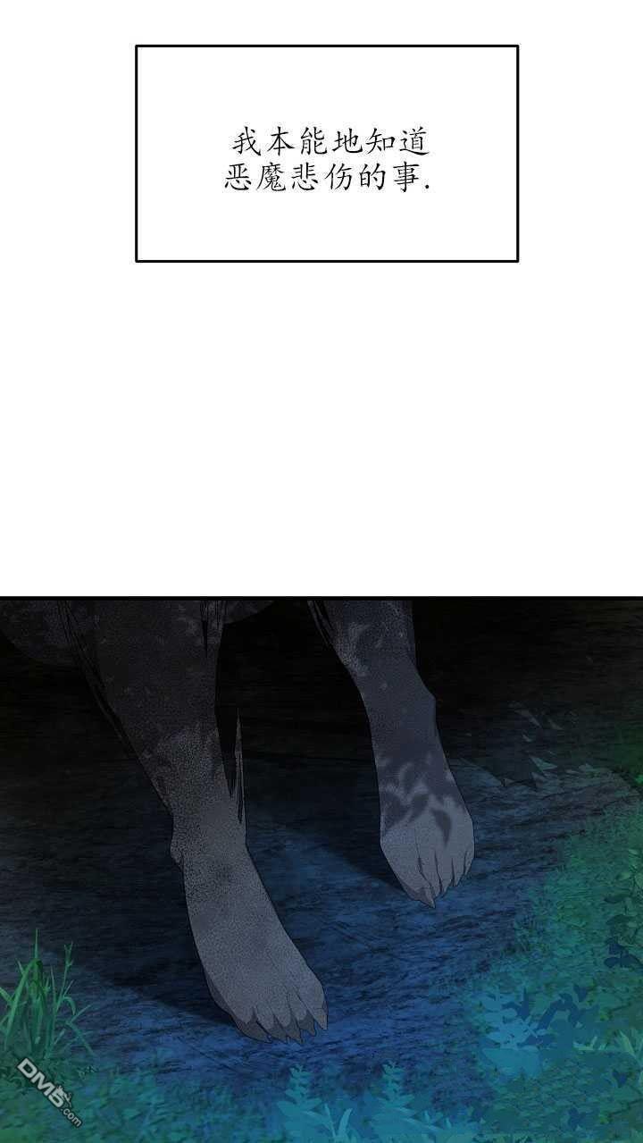 41.jpg