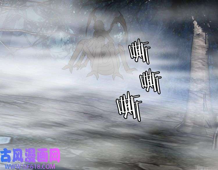 164.jpg