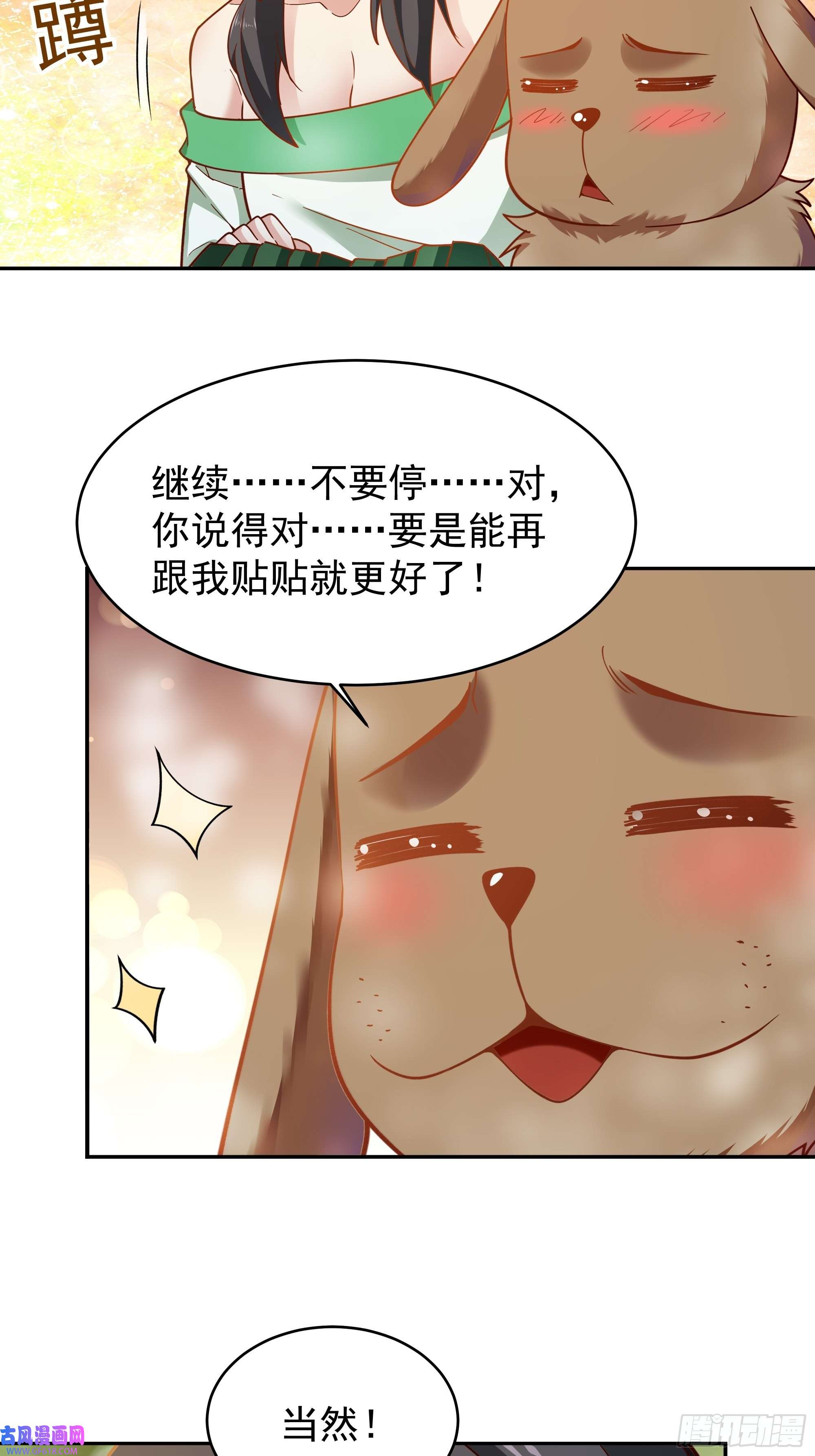 13.jpg