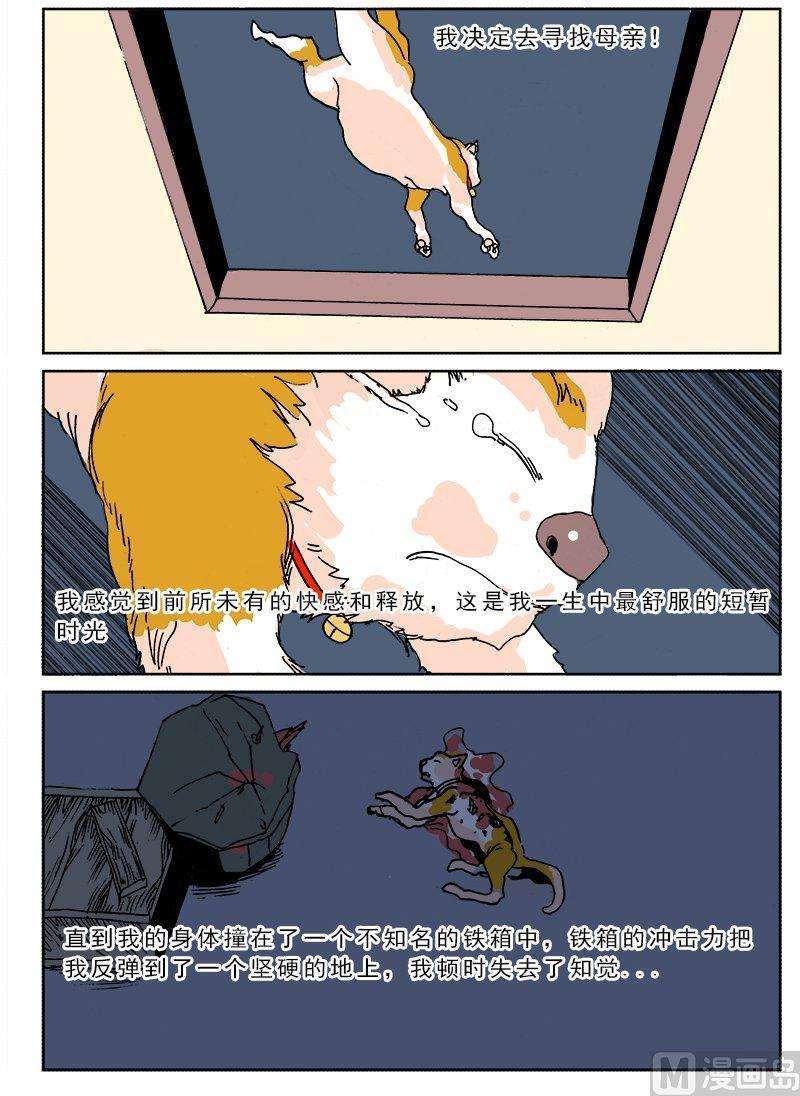 17.jpg