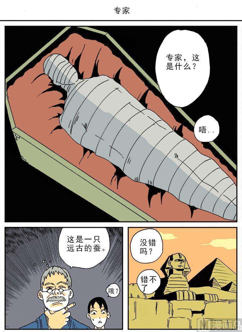 6.jpg