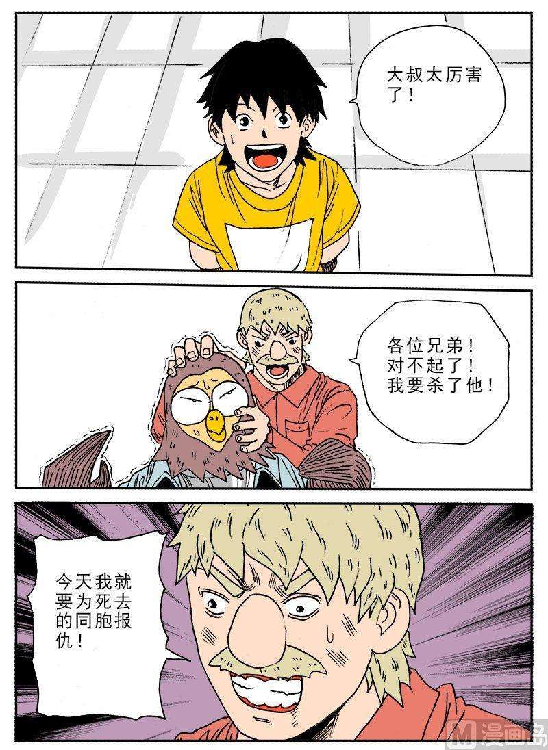 13.jpg