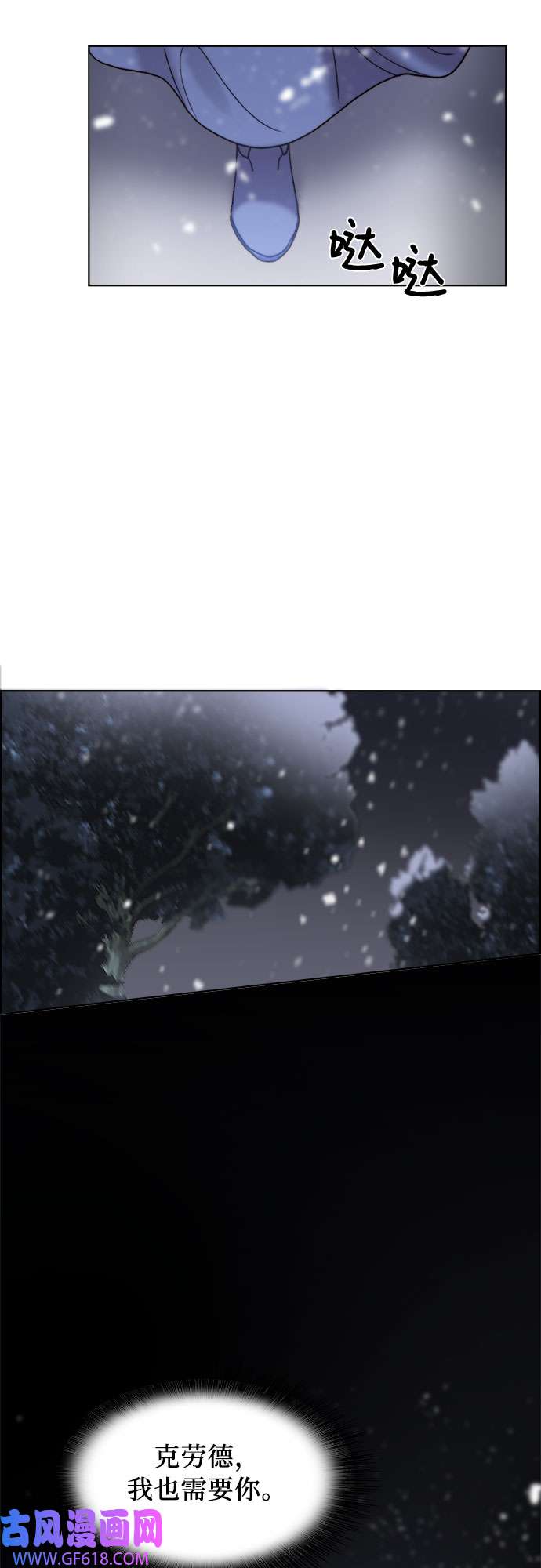 41.jpg